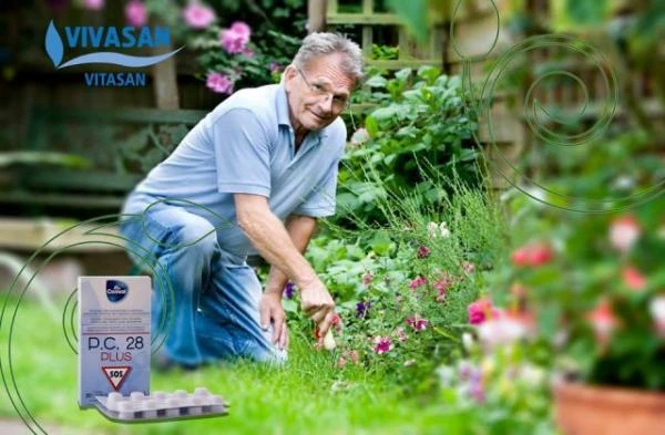 Таблетки P.C.28 Плюс болеутоляющий Vivasan, Швейцария