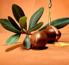 Krem dlya tela serii Argana Vivasan, Shveysariya