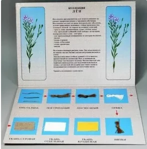 Коллекция - лен для начальной школы