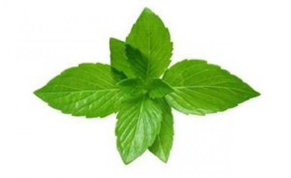 Ароматическое масло Перечная мята Swiss Nahrin, Швейцария