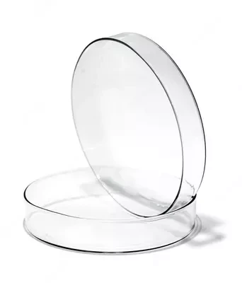 Mikrobiologik idish (Petri) 100 x 20 mm