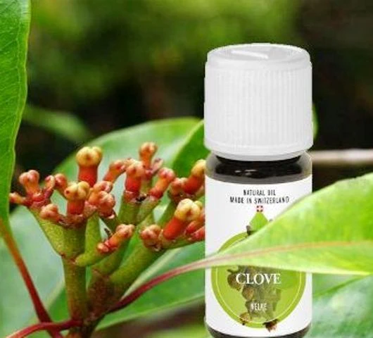 Эфирное масло Гвоздики, Vivasan, Швейцария