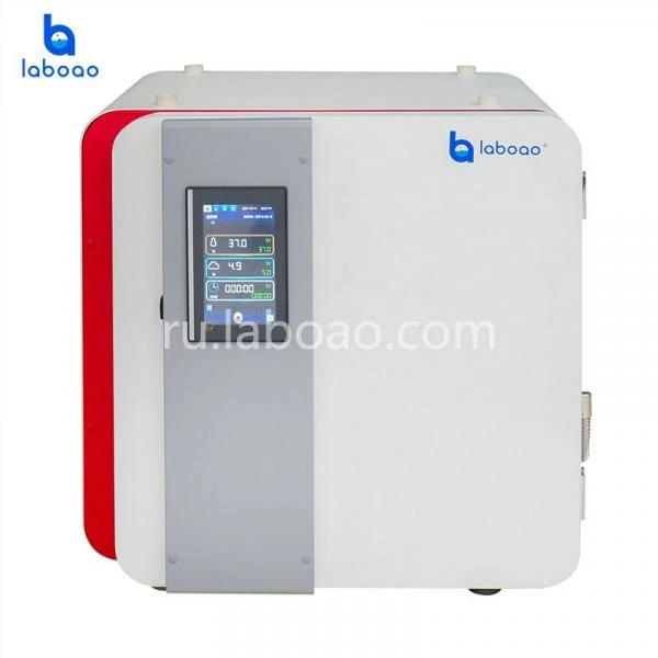 CO2-inkubator so sterilizasiey