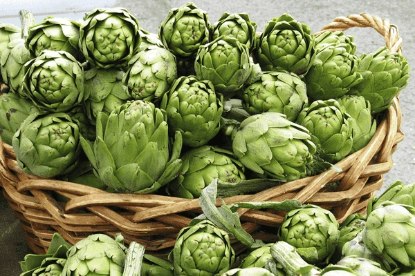 Напиток Артишок горький, Vivasan, Швейцария