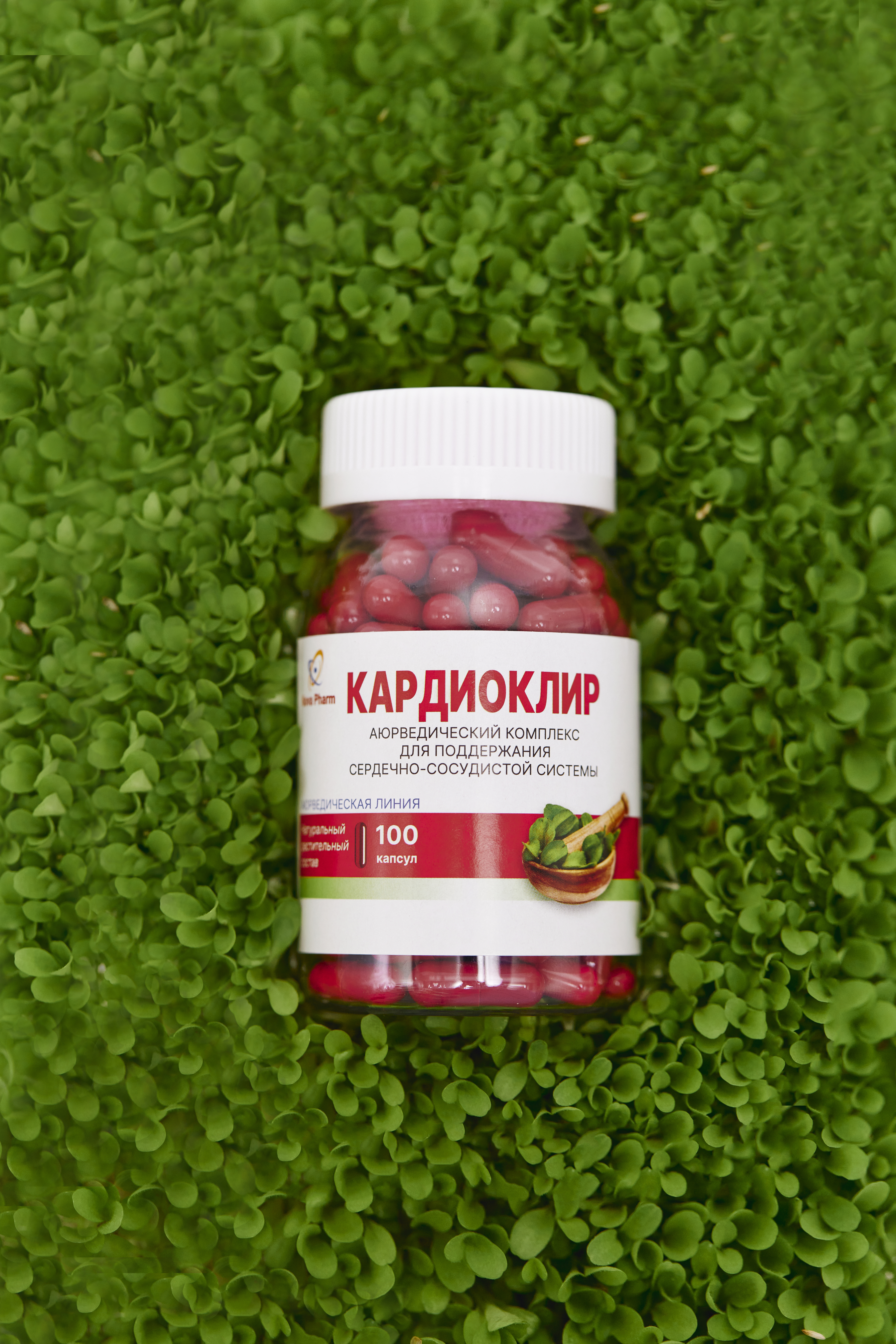 KARDIOKLIR kapsulalar N100