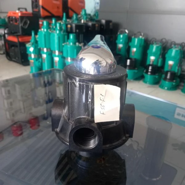 Фильтр Runxin F56A1 Manual (6m³/h)